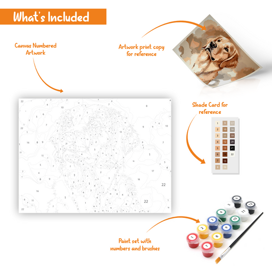 Cute Golden Retriever Paint-By-Numbers DIY kit